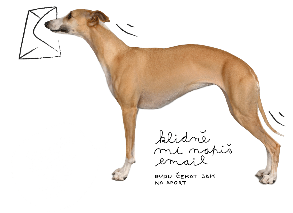 whippet-namajjart-maja